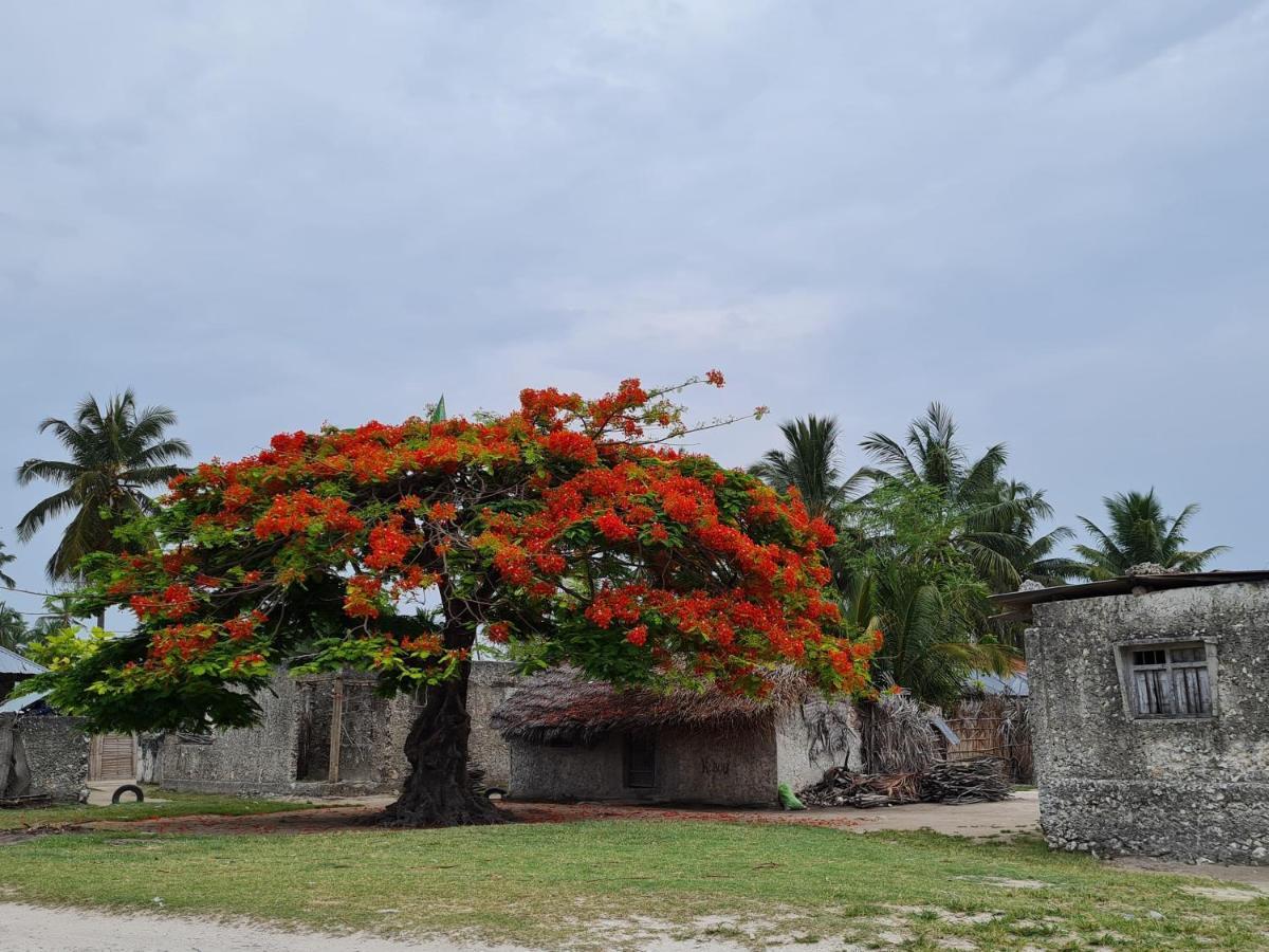Beachfront Villa Ladha Ya Zanzibar Jambiani  Exterior photo