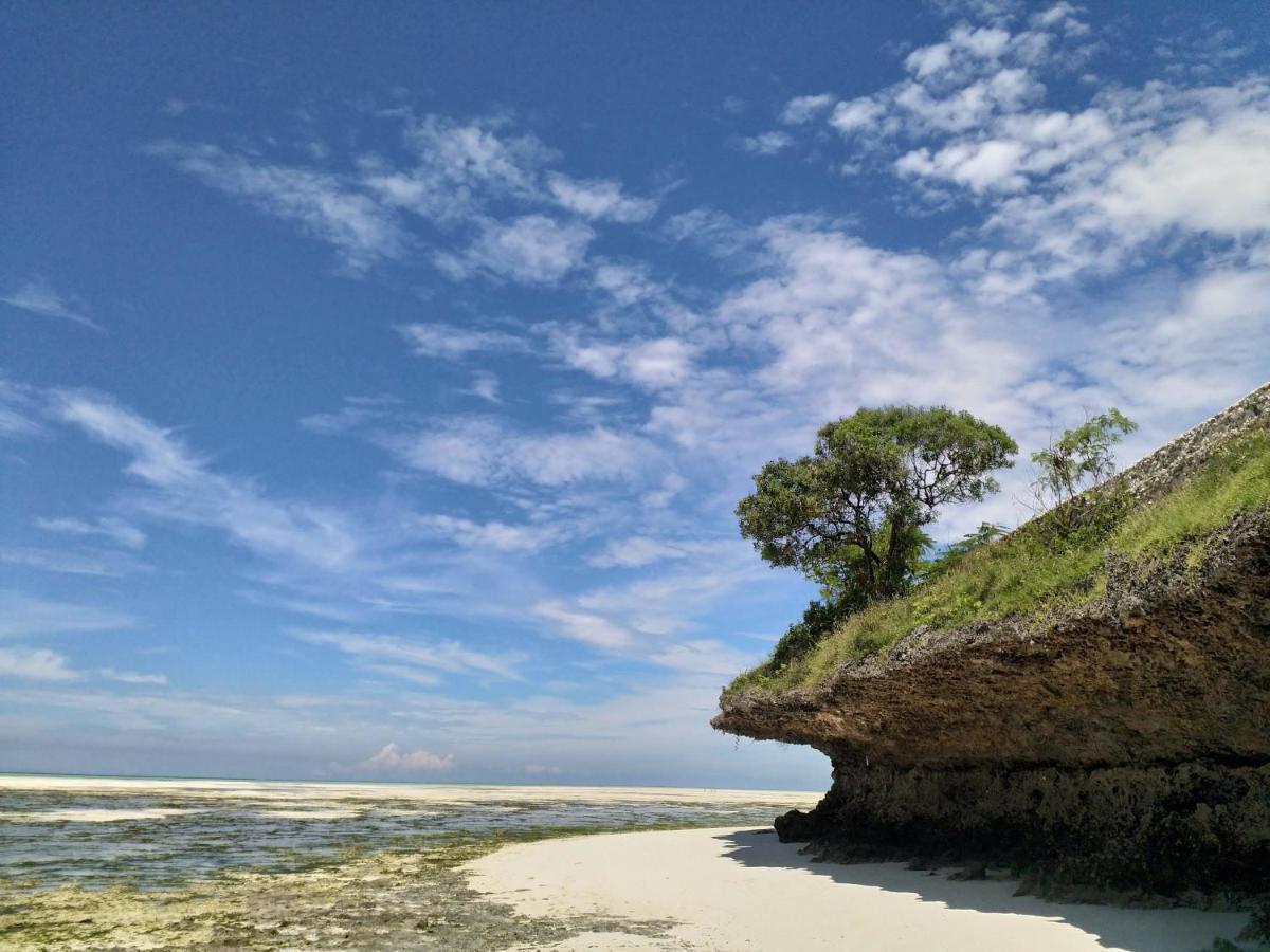 Beachfront Villa Ladha Ya Zanzibar Jambiani  Exterior photo